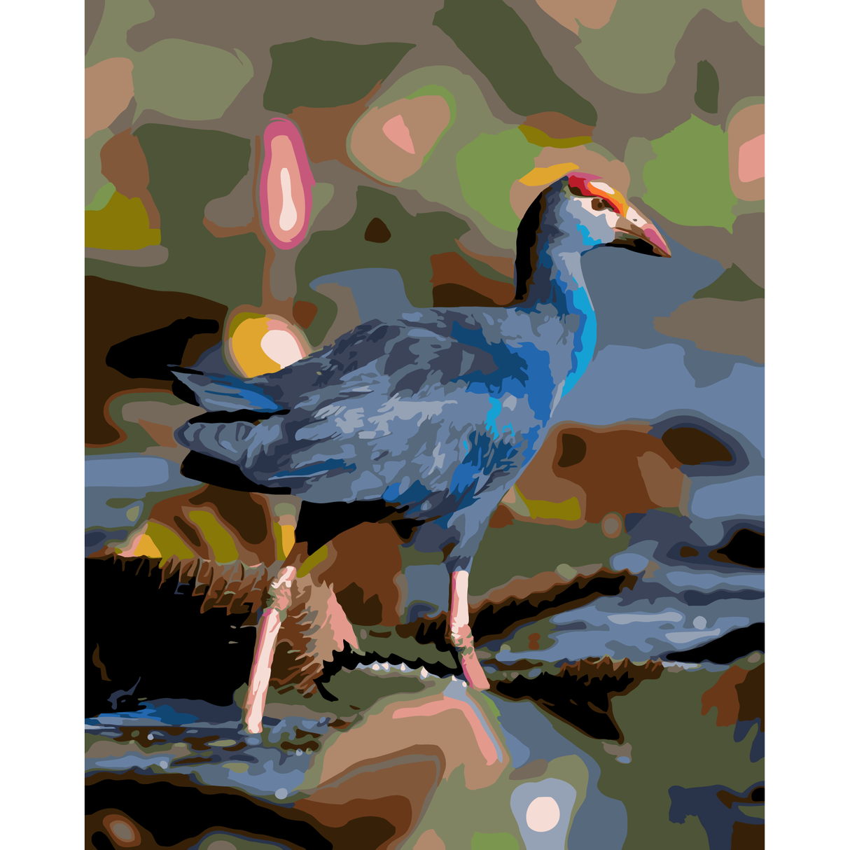 Pukeko